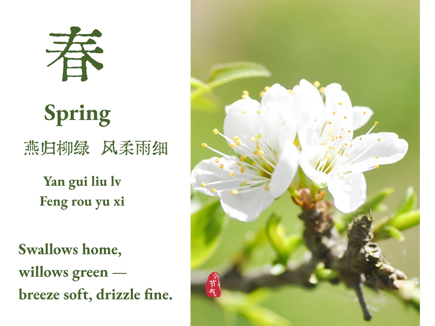 春 · 国风节气海报：绿字“春”与白色春花